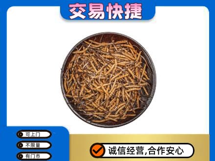 六安市金寨礼品回收虫草.jpg