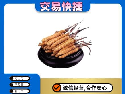 六安市金寨礼品回收散虫草.jpg